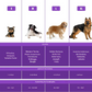 💥 Reduziert auf den niedrigsten Preis 👇! ⏳ Gehörschutz für Hunde