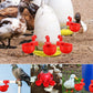 🐔 | Automatikus tyúk itató | Megbízható | Telepítés 3 perc alatt
