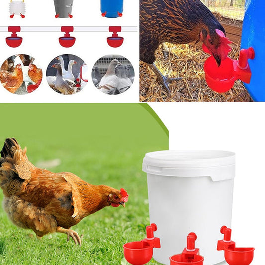 🐔 | Automatikus tyúk itató | Megbízható | Telepítés 3 perc alatt