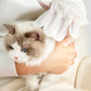 🎉 Last Day Promotion-75% OFF 🫧Gentle Pet Cleaning No-Rinse Gloves