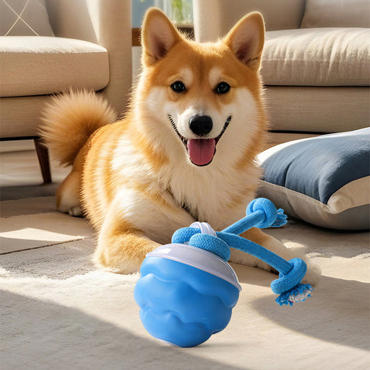 🐶Interaktív elektronikus kisállat-nyugtató játéklabda